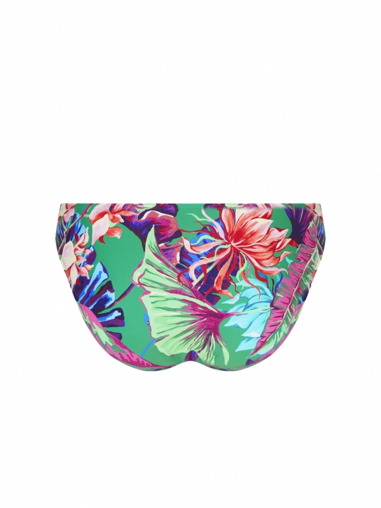 PARADIS SAUVAGE GROEN